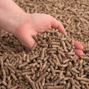 Pellets Bulk 6mm (Scandbio)